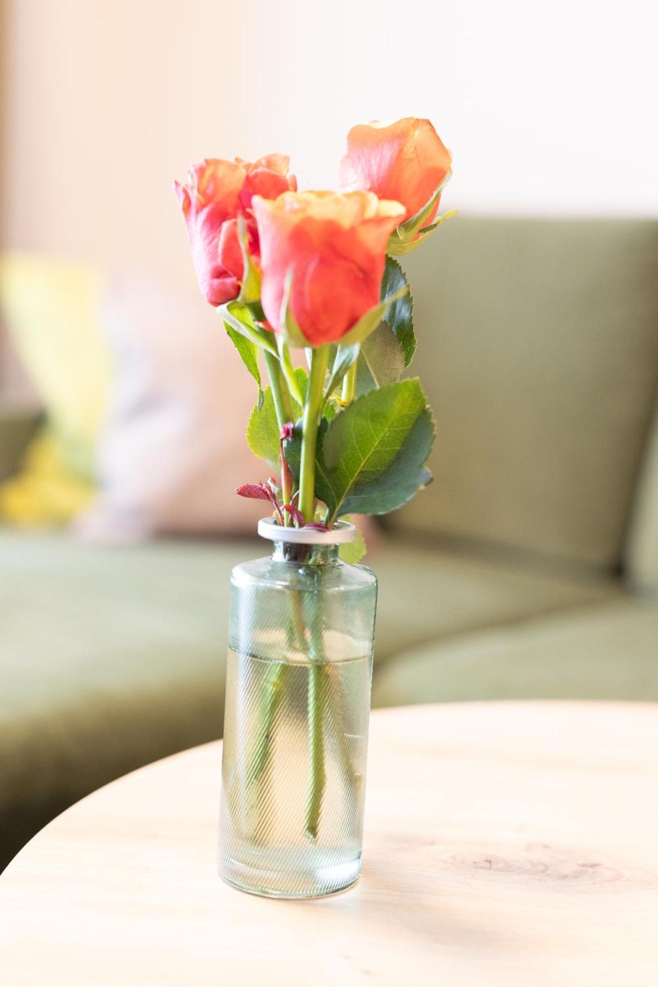 Appartementdeluxe Steiert - Near Europa Park - Rulantica - Spacious - Fully Equipped Kitchen - Private Garden - Free Parking - Pet Friendly シュヴァナウ エクステリア 写真